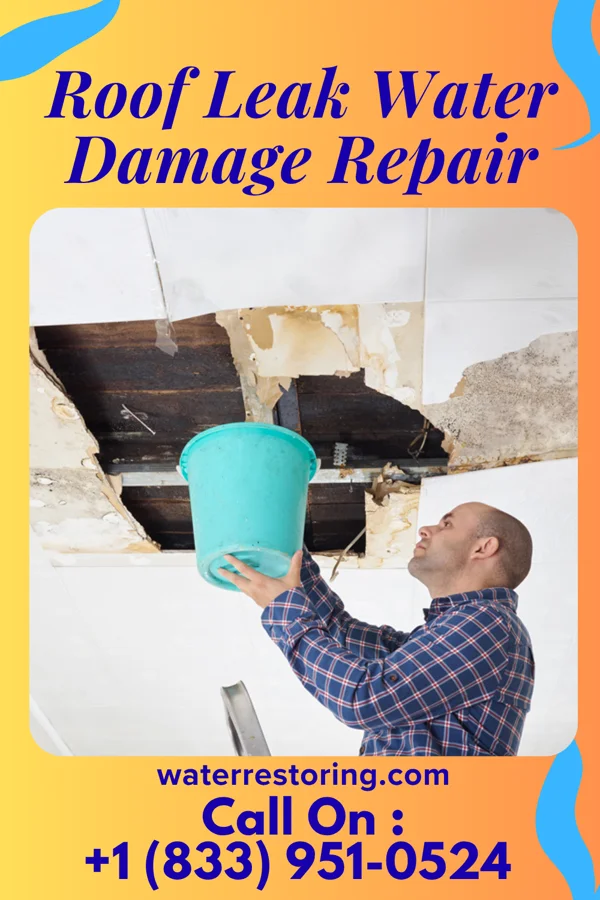 Roof Leak Water Damage Repair in Dundee, FL